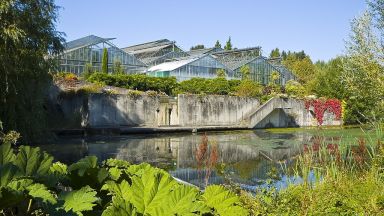 Neuer Botanischer Garten Gewächshaus