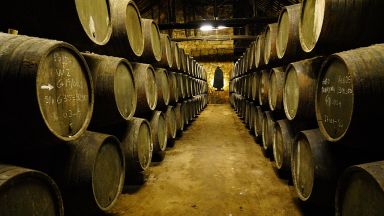 Sandeman Wine Cellar