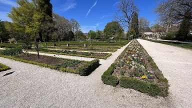 Jardin Arquebuse - Dijon
