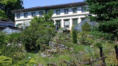 Bern - Botanischer Garten